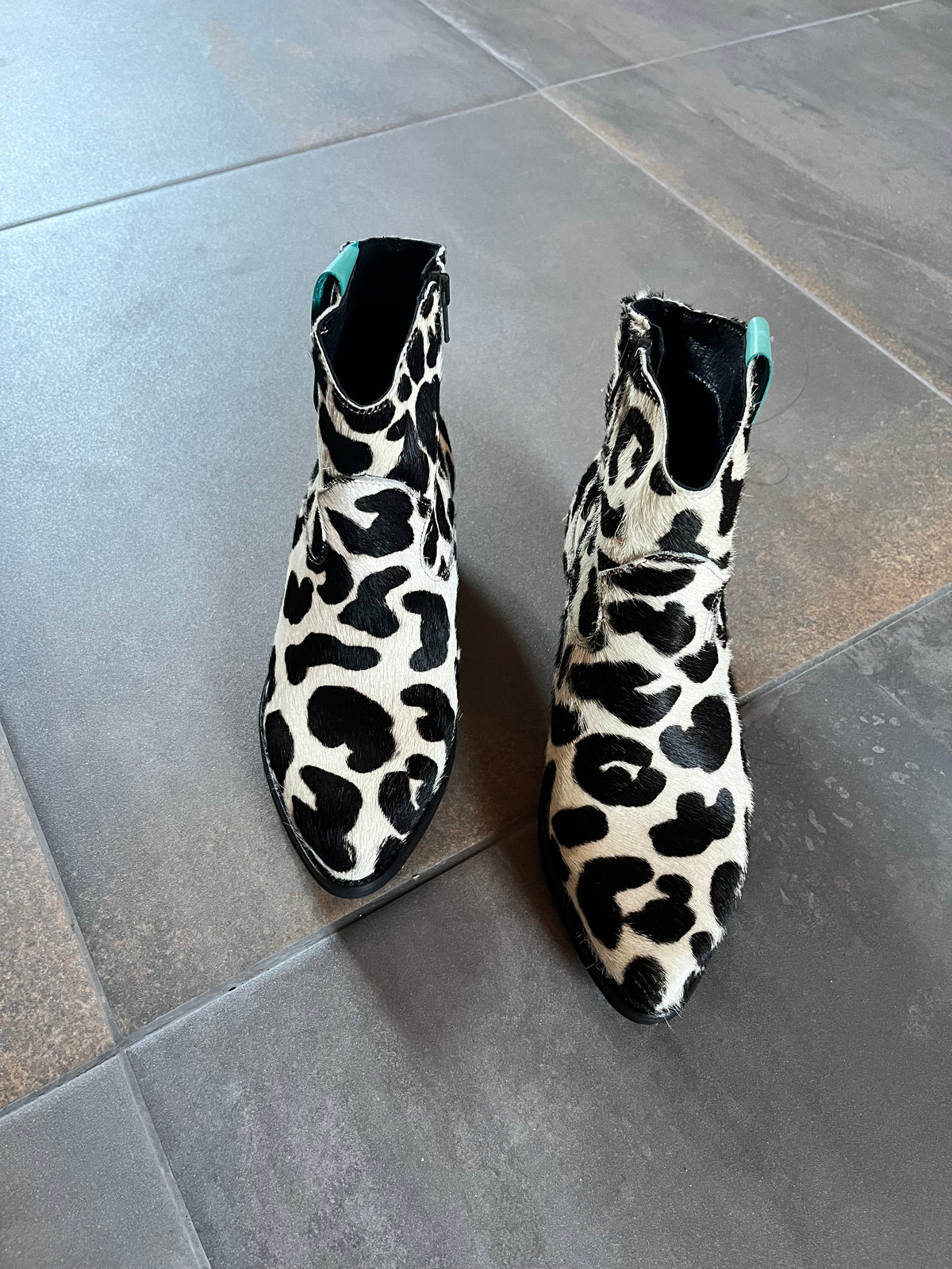 Dalmata | Botins