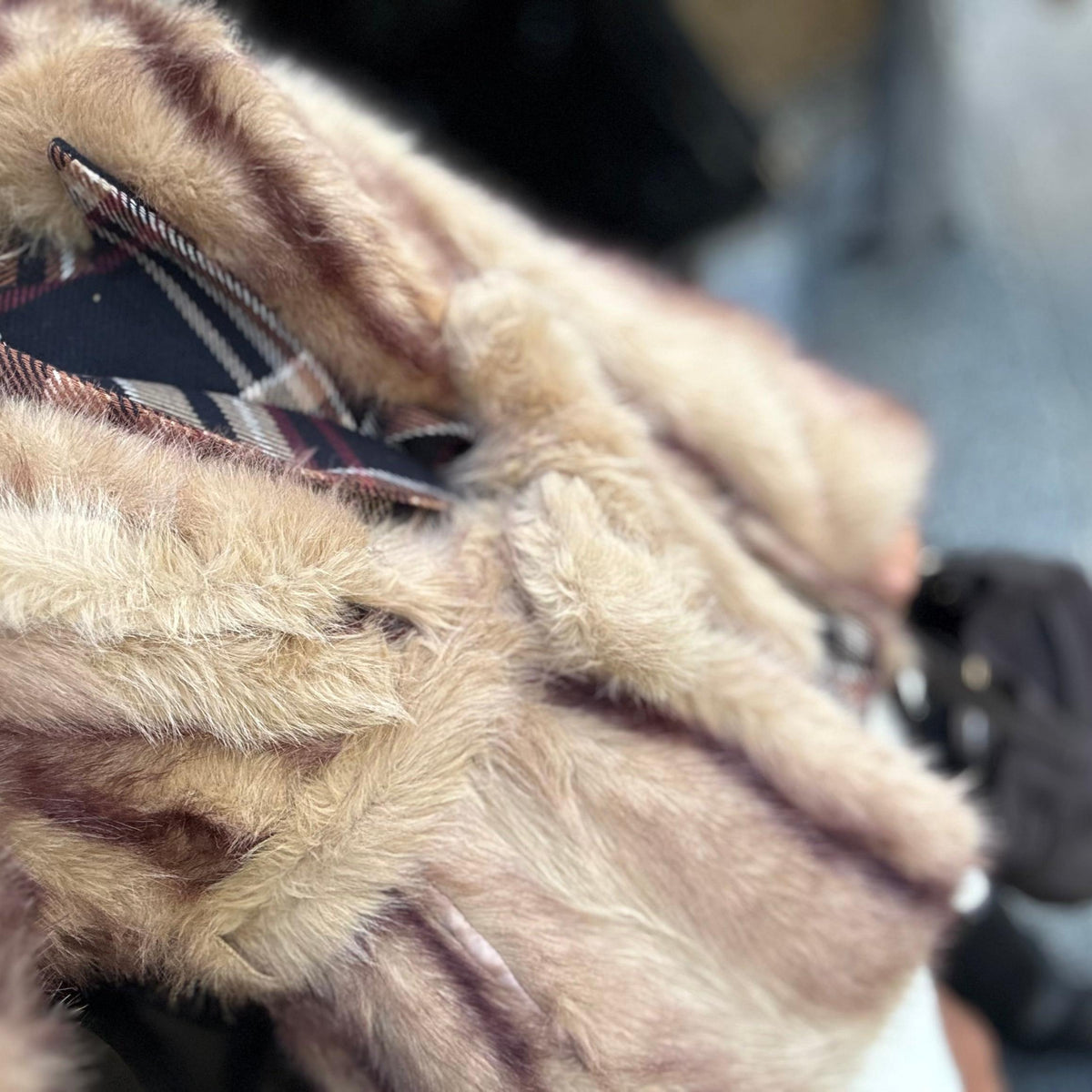 TE. necessito| casaco