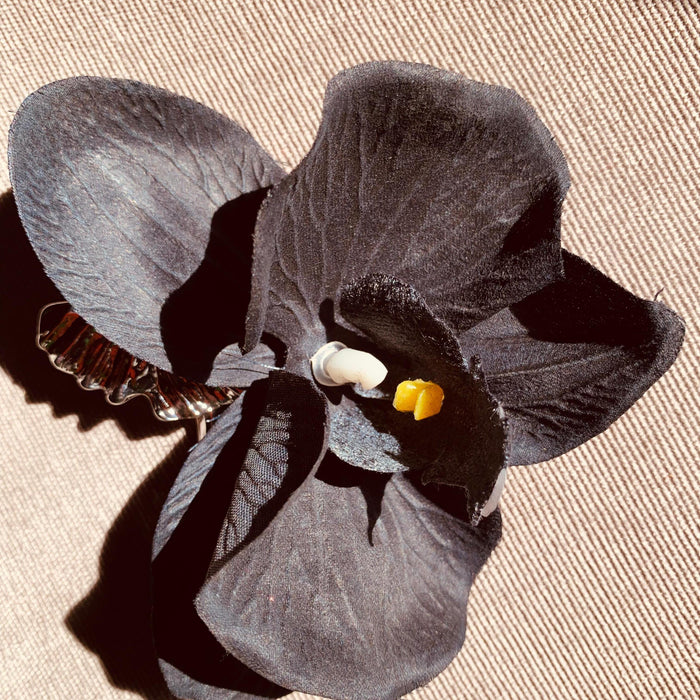 Orquídea Negra | Brinco