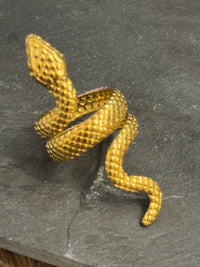 Serpente | Anel