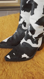 Texanas Cow   | Texanas